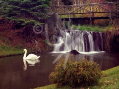 St. John's, Bowring Park